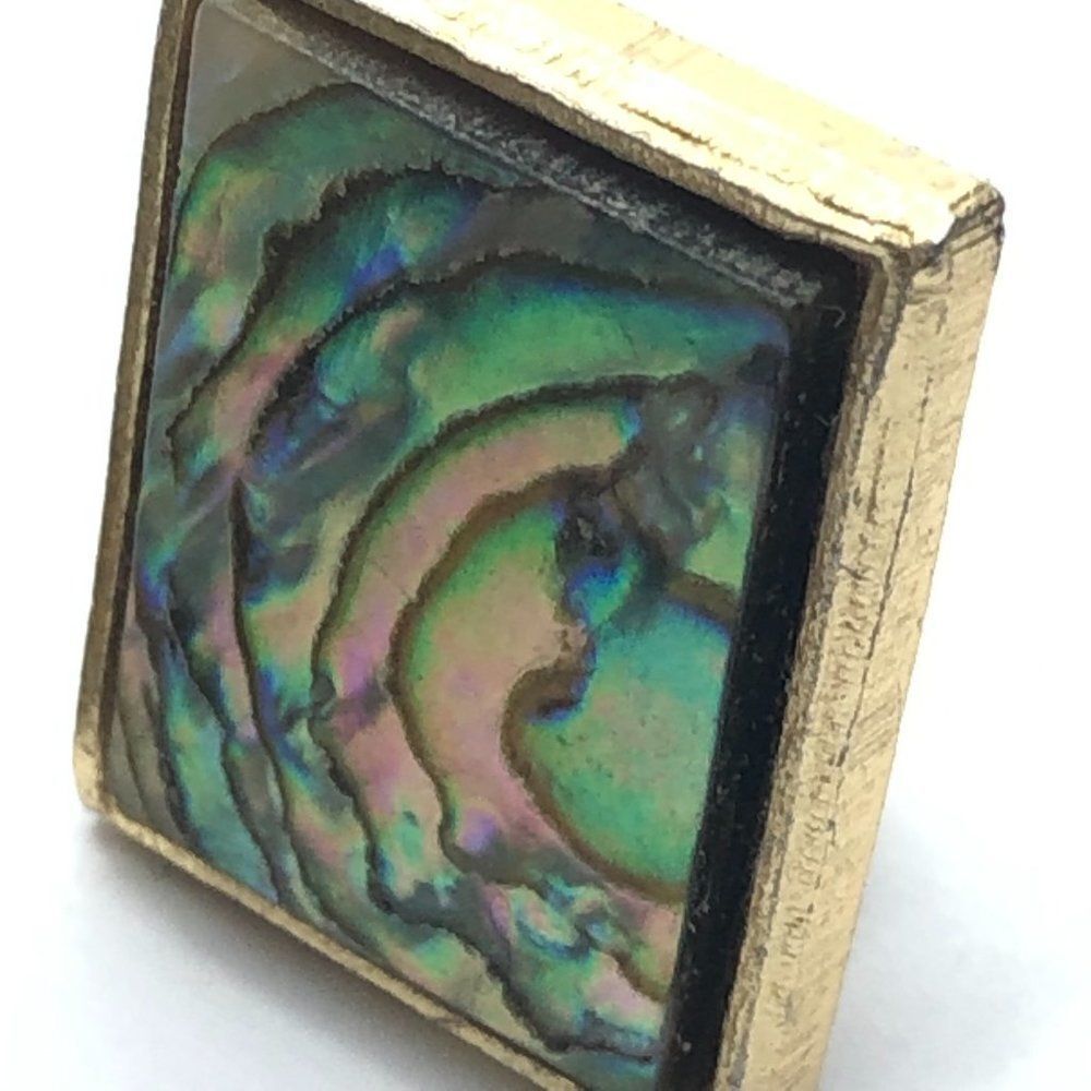 Pretty Vintage Rectangular Abalone Shell Clip On … - image 4